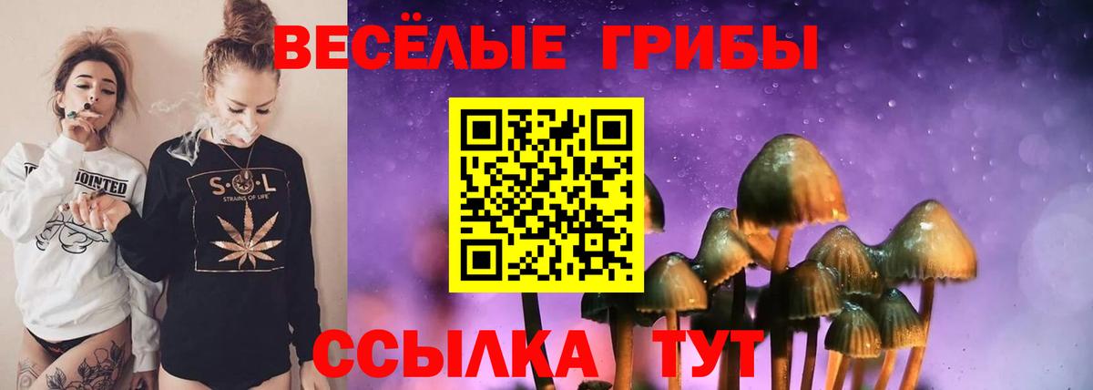 Реутов  Галлюциногенные грибы GOLDEN TEACHER  где можно купить   Вход с VPN  Псилоцибиновые грибы Magic Shrooms 